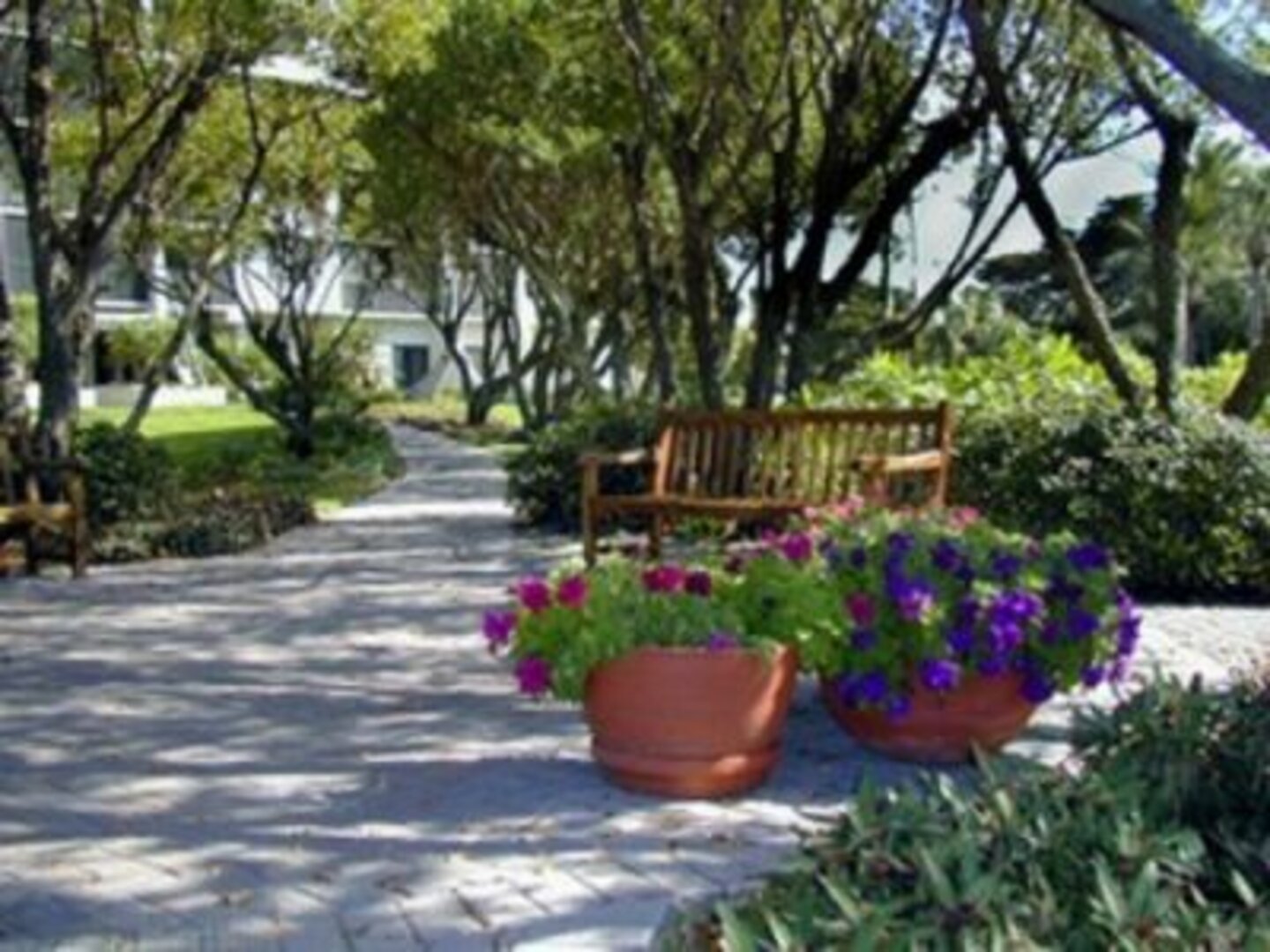 Garden Walkway