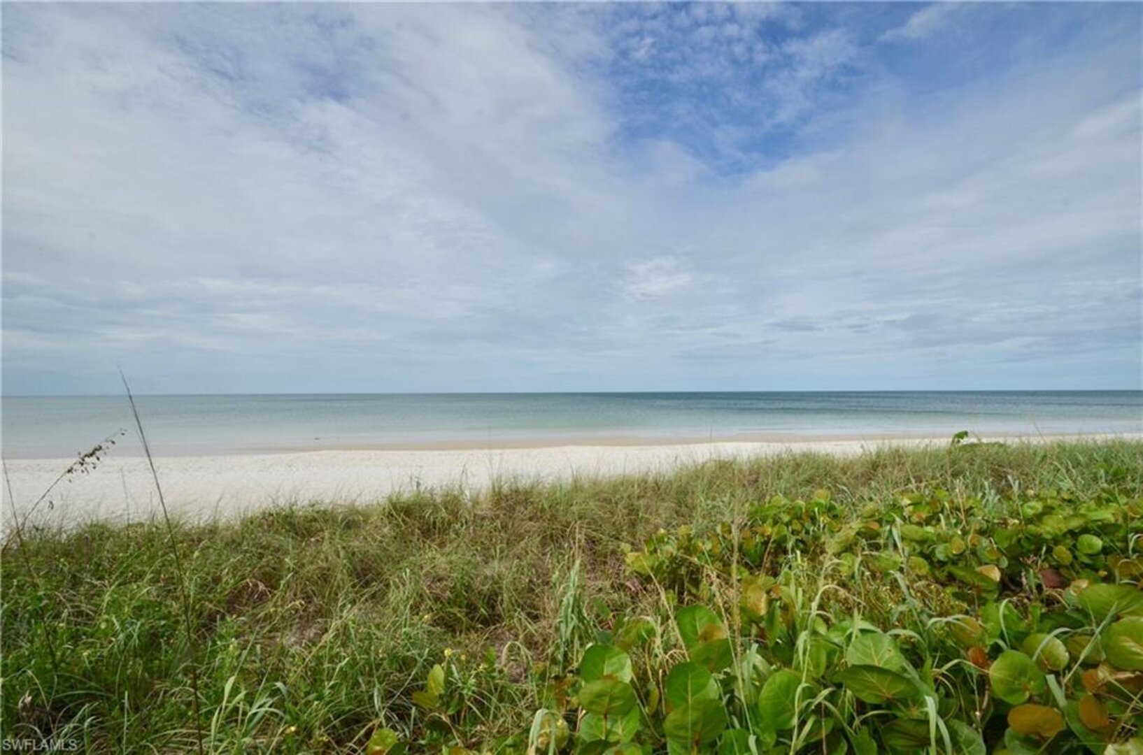 Gulf Of Mexico