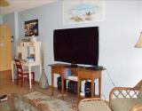 Living Area TV