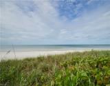 Gulf Of Mexico