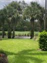 Great Pond View